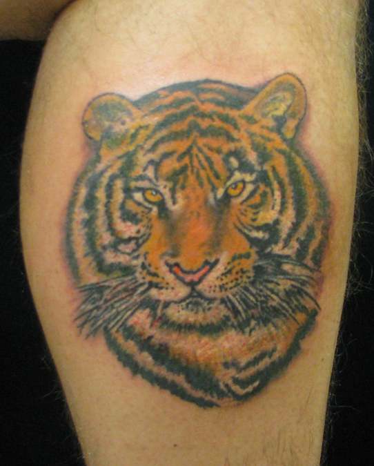 Posted in Animal Tattoos Portrait Tattoos Realistic Tattoos with tags 